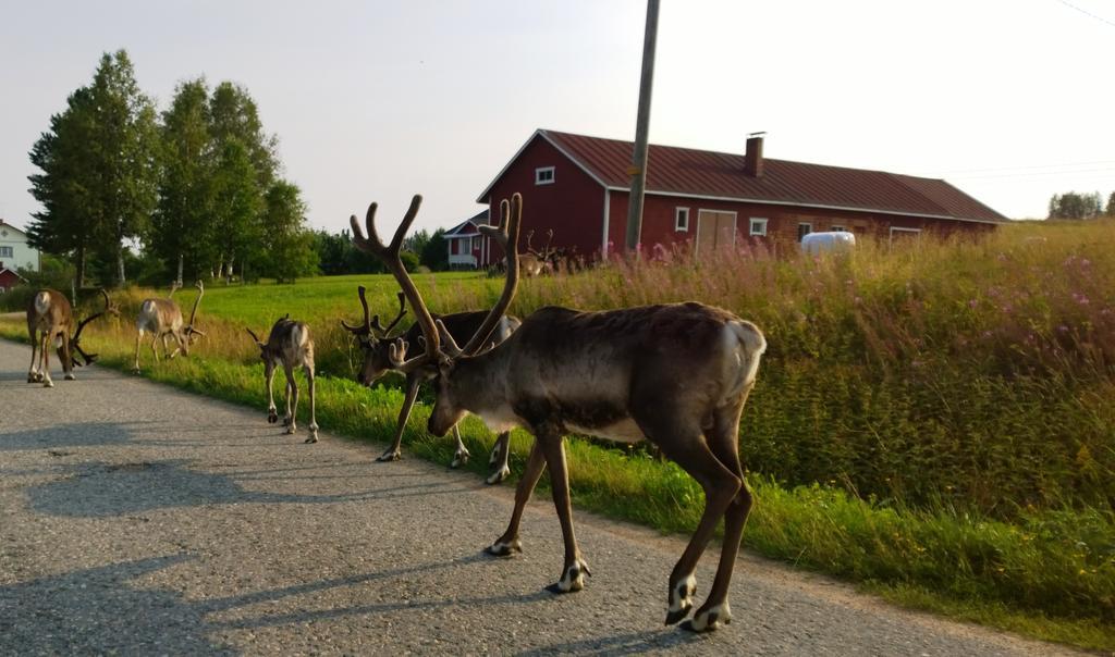 Village Lomahuoneisto Country house *