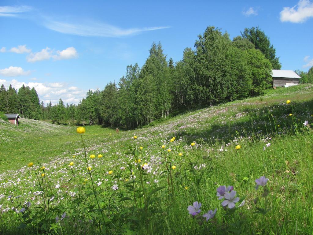 Casa di campagna Village Lomahuoneisto